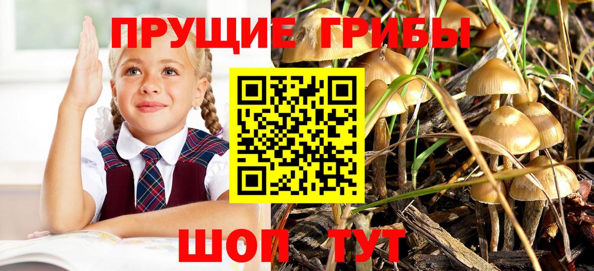 Галлюциногенные грибы мухоморы Воскресенск