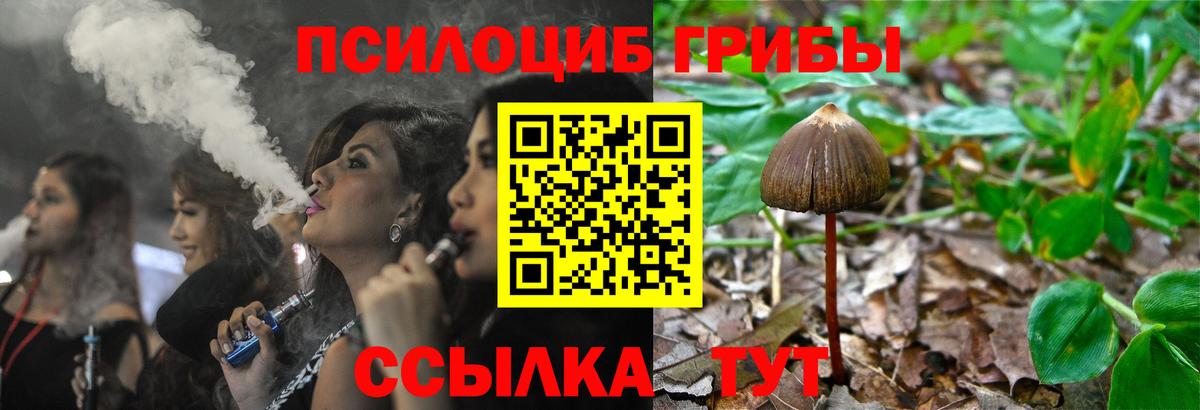 Галлюциногенные грибы мицелий  Вход с VPN  Воскресенск  Галлюциногенные грибы Magic Shrooms 